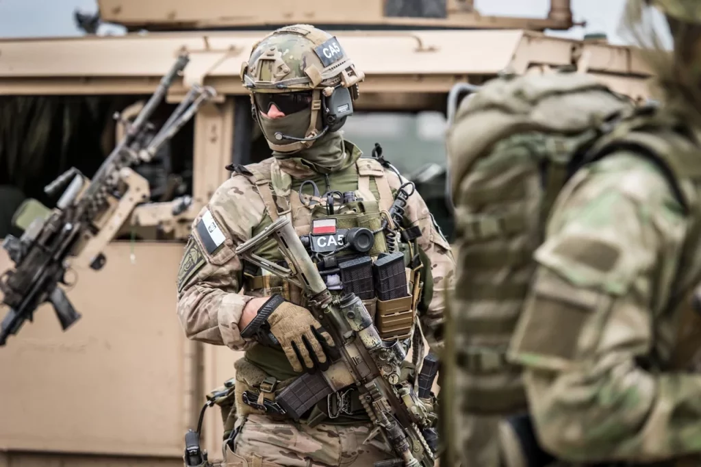 polish grom