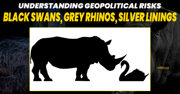 Insights Geopolitical Risks Black Swan Grey Rhinos and Silver Lining 1