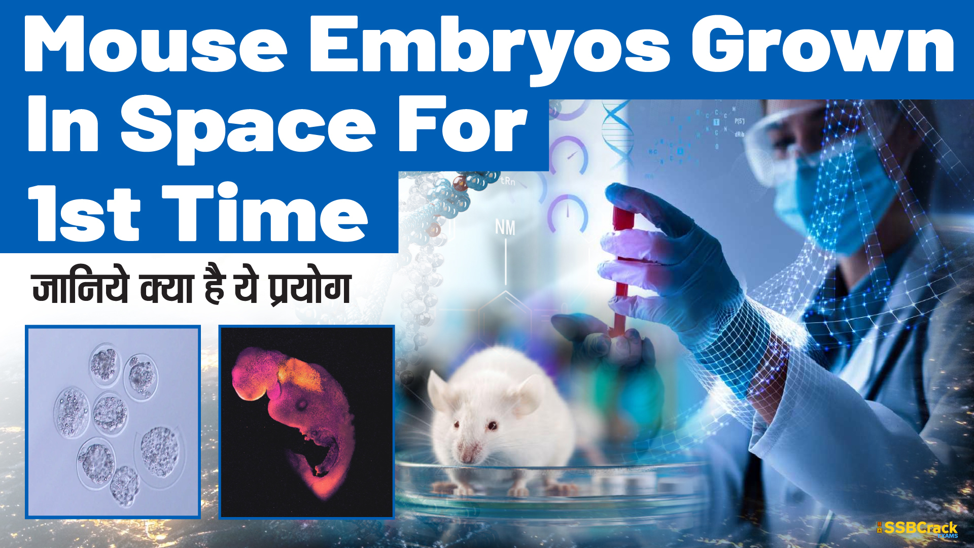 Mouse Embryos Grown In Space For 1st Time