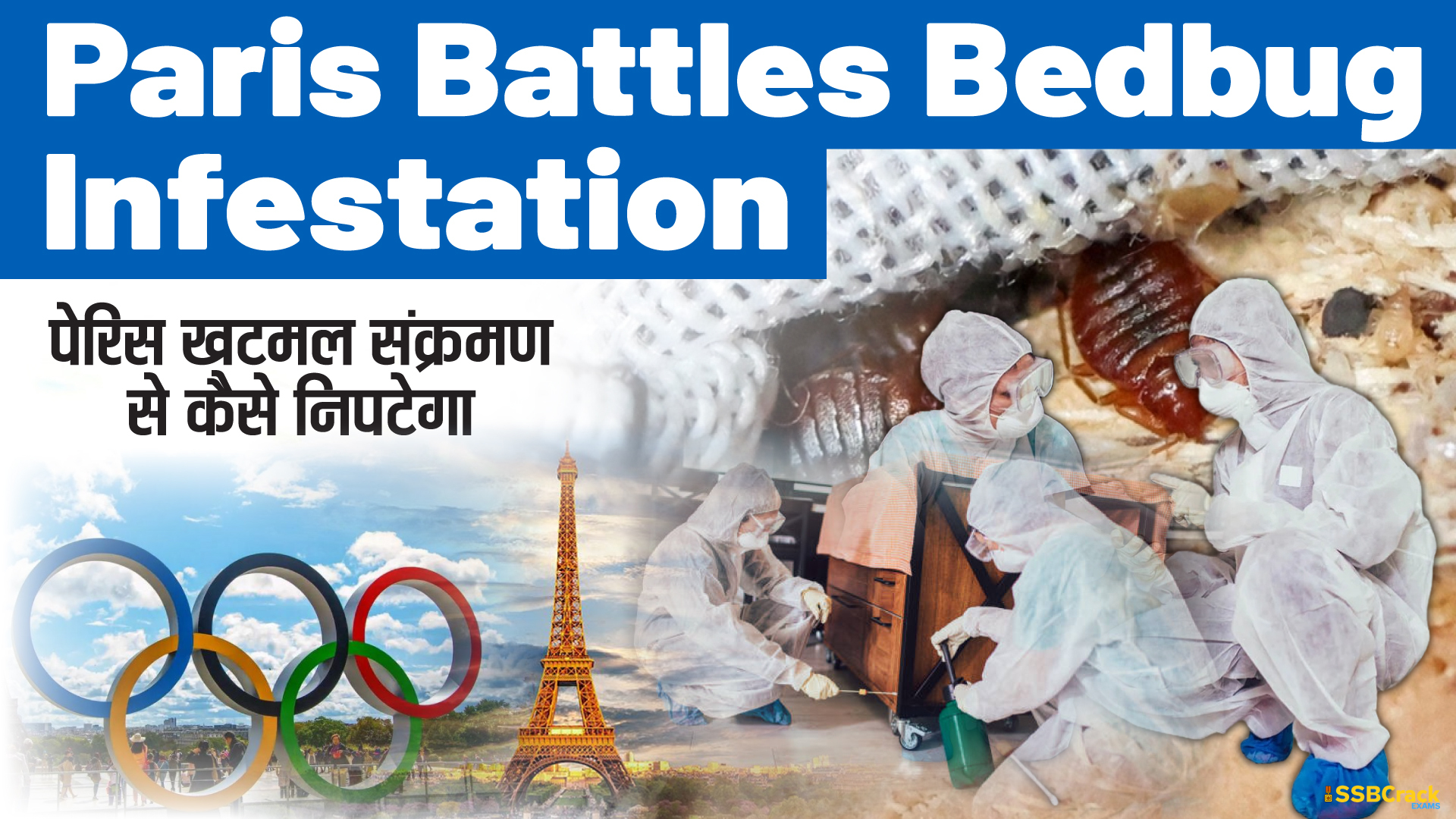 Paris Battles Bedbug Infestation