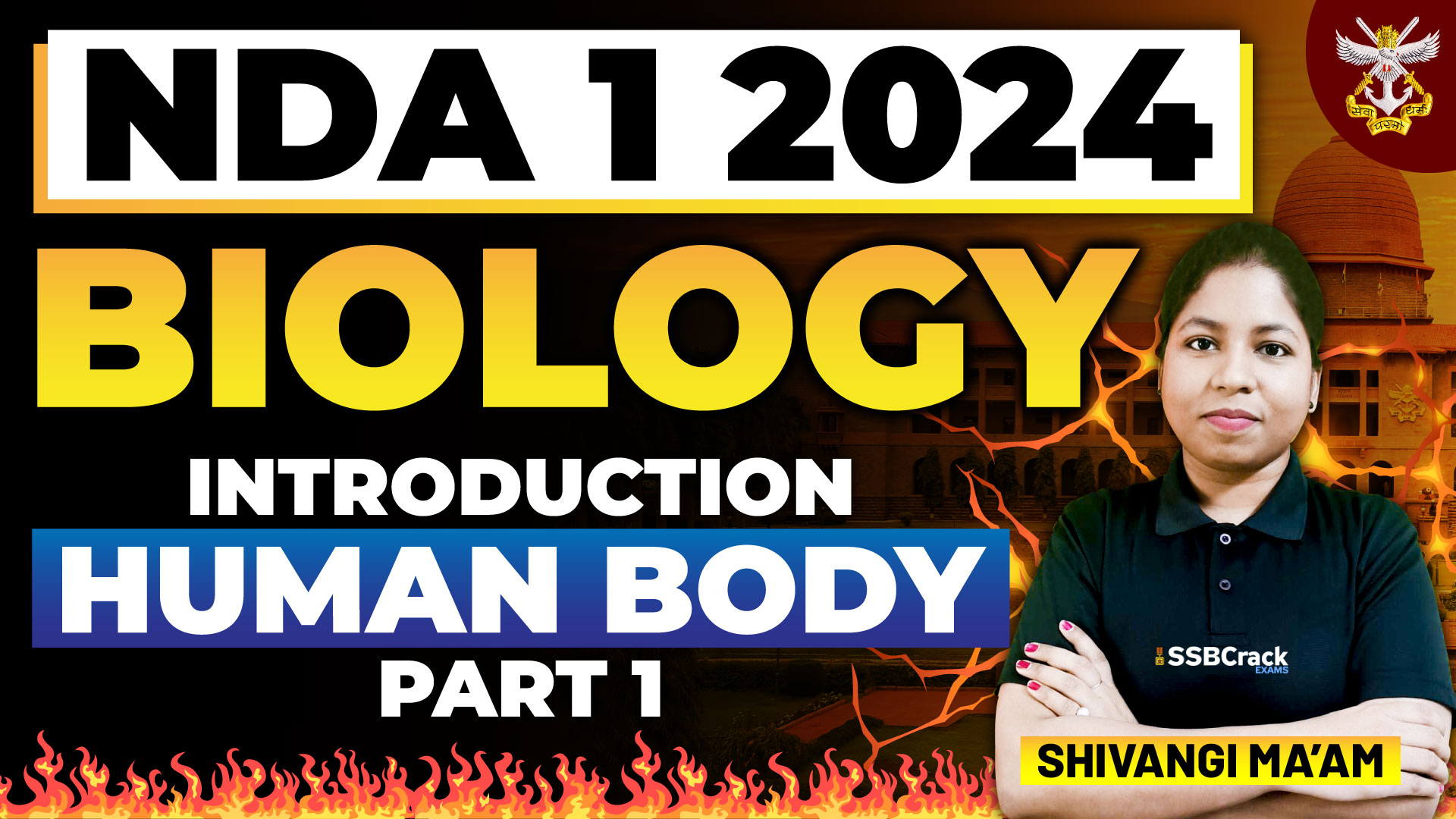 Introduction to Human Body Part 1 3