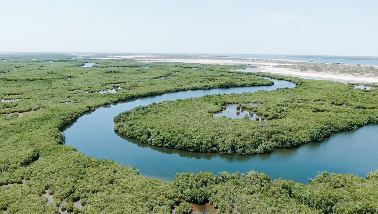 Sahel wetlands