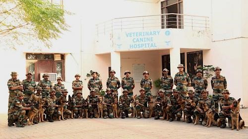 ITBP Veterinary Staff Recruitment Male cadets