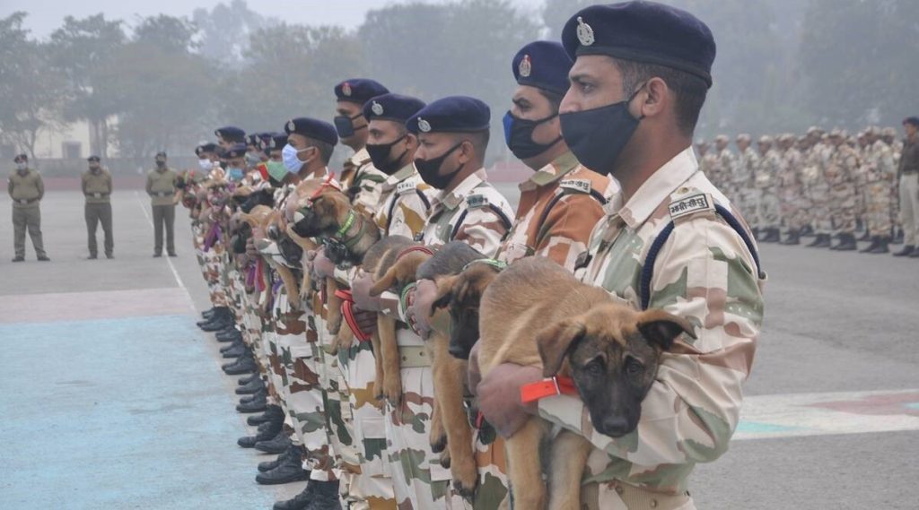 ITBP Veterinary Staff Recruitment Training