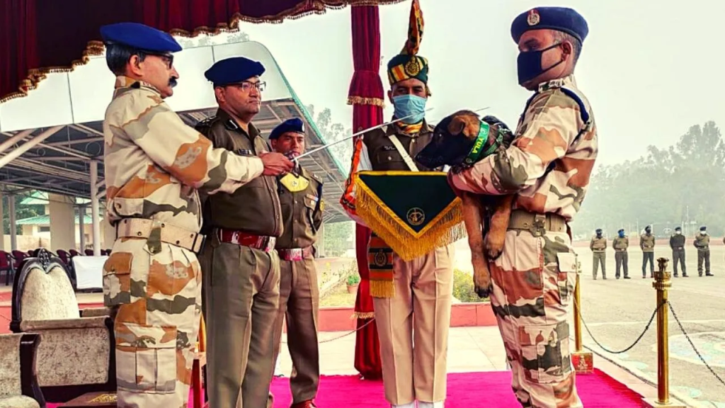ITBP Veterinary Staff Recruitment Cadet